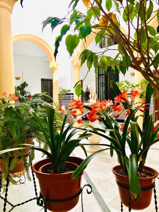 Fabuloso Loft En Centro Historico De Cordoba Con Parking Bajo Reserva Tendillas Mezquita-Catedral Luaran gambar